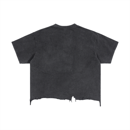 The Starfighter Jeans - Crew Distressed Crop T